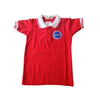 RED T.SHIRT (Oxford public)